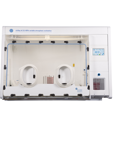 Whitley M135 HEPA Workstation